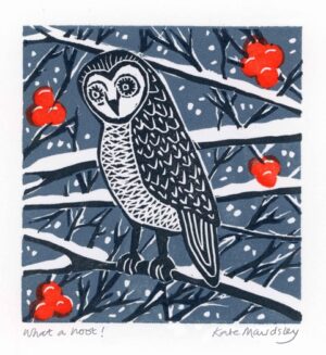 What A Hoot!